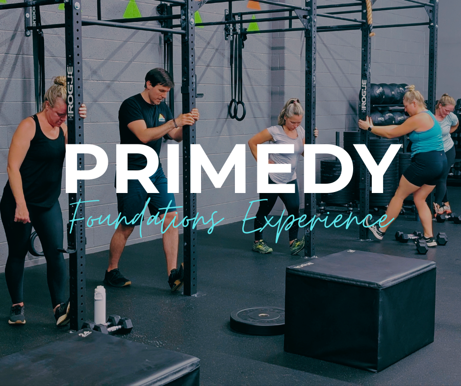 Primedy Foundations Experience
